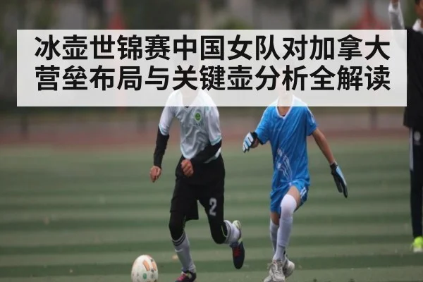 冰壶世锦赛中国女队对加拿大营垒布局与关键壶分析全解读（c7c7）